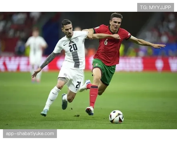 对抗成功率与覆盖范围：帕利尼亚的防守能力