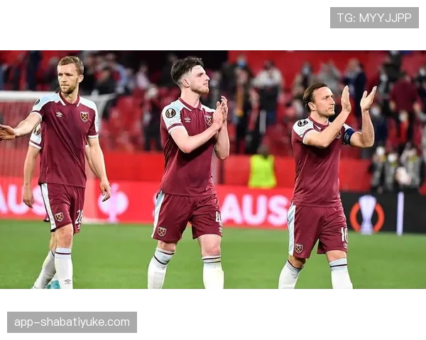 帕利尼亚 vs 赖斯：覆盖能力与全面性对比分析